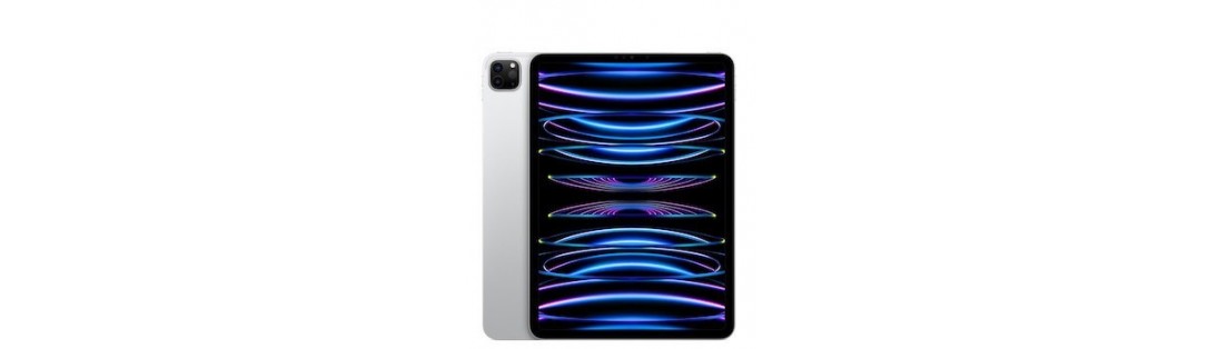 iPad Pro 11 M2 2022