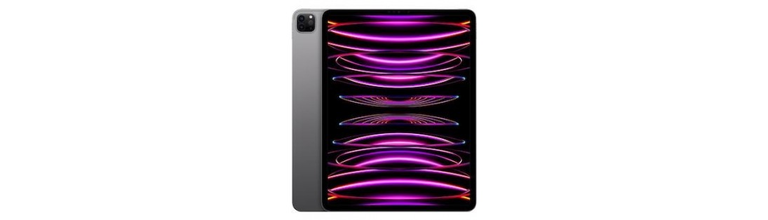 iPad Pro 12.9 M2 2022