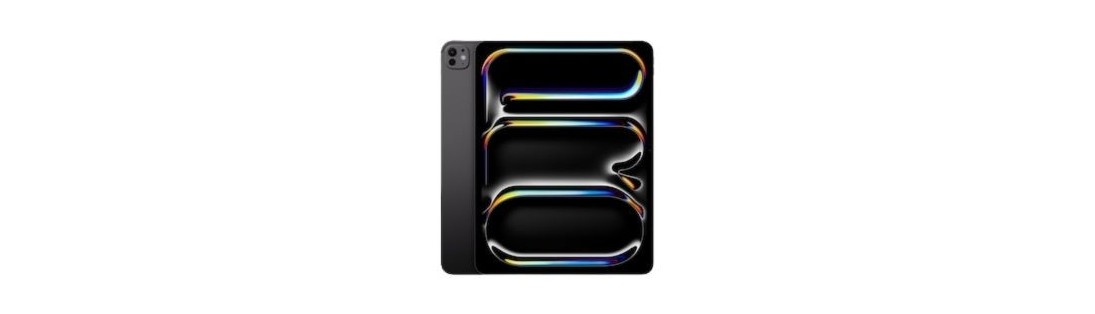 iPad Pro 11 M4 2024